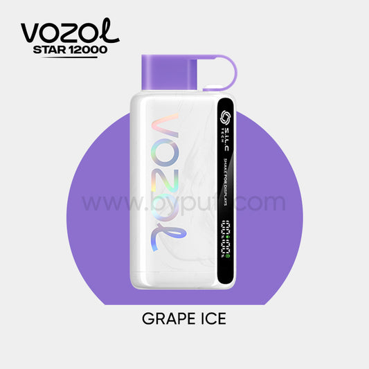 Vozol 12000 Grape ice